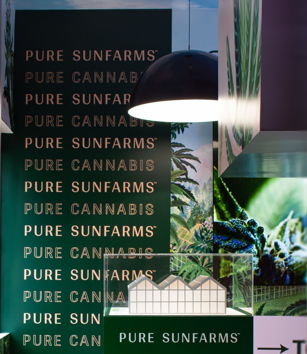 Pure Sunfarms